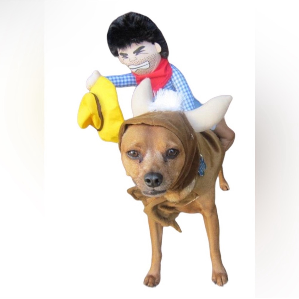 Bull Rider 2pcs Cowboy Dog Costume Size Medium